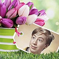 Effect - Beautiful tulips for you