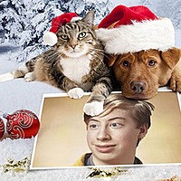 Effect - Dog and cat wish a Merry Christmas