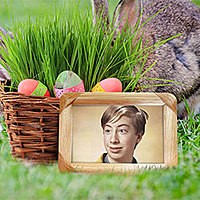 Efekt - Easter basket with colored eggs