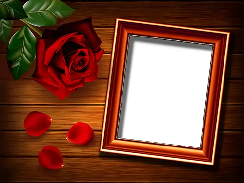 Photo frames. Rose on the table