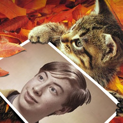 Фотоэффект - Милый котенок в осенних листьях
