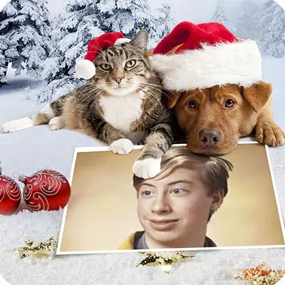 Effets Photo Chien Et Chat Vous Souhaite Un Joyeux Noel