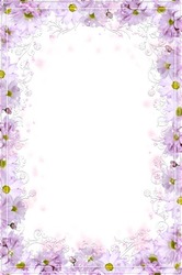 Photo frames. Magenta flowers