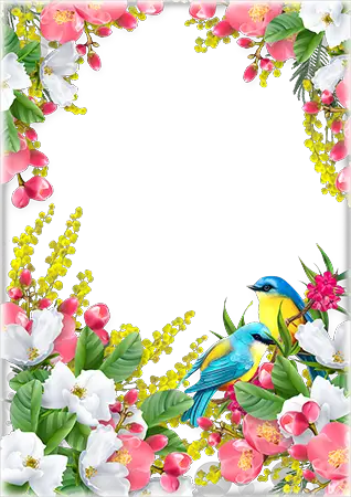 Photo frames. Spring birds inside of colorful flowers