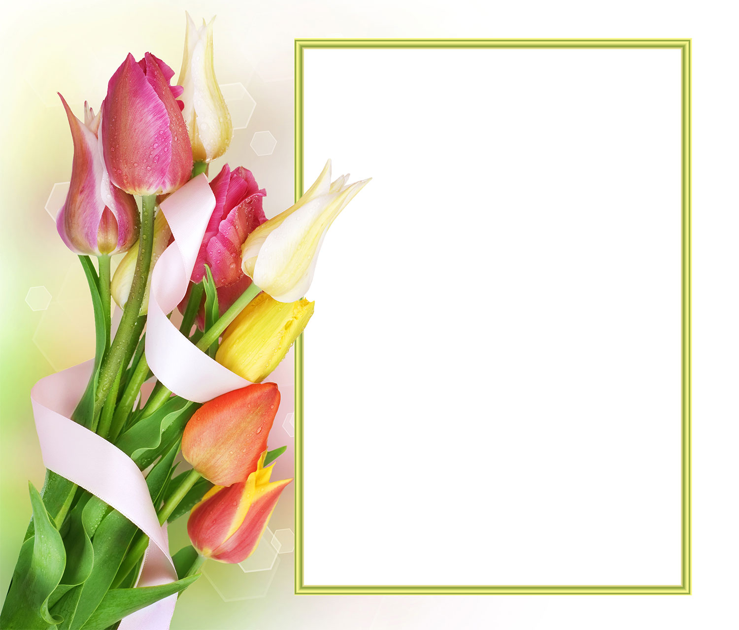 Flowers Photo Frames | LoonaPix - Roses, Tulips, Poppies! (60+ frames)