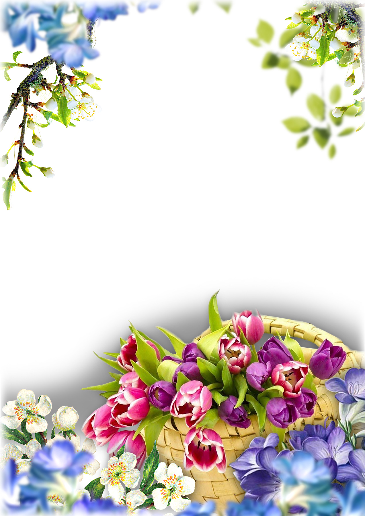 LunaPic Edit GjDrANm  Flower background images, Flower frame, Colorful  stationery