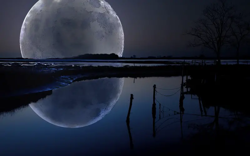 Photo effects. Huge moon on the horizon 51913264