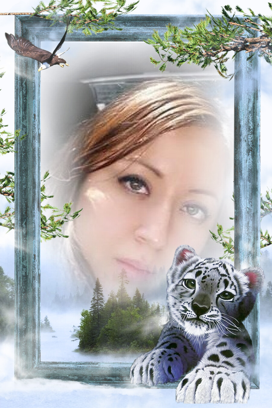 Photo frames. White tiger 57427234
